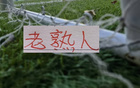 六月重磅赛事来袭！三大豪门再度迎战昔日劲敌，上海申花将与马莱莱上演精彩对决