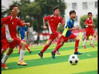 西班牙VS伊拉克直播_西班牙VS伊拉克西班牙VS伊拉克免费直播在线直播